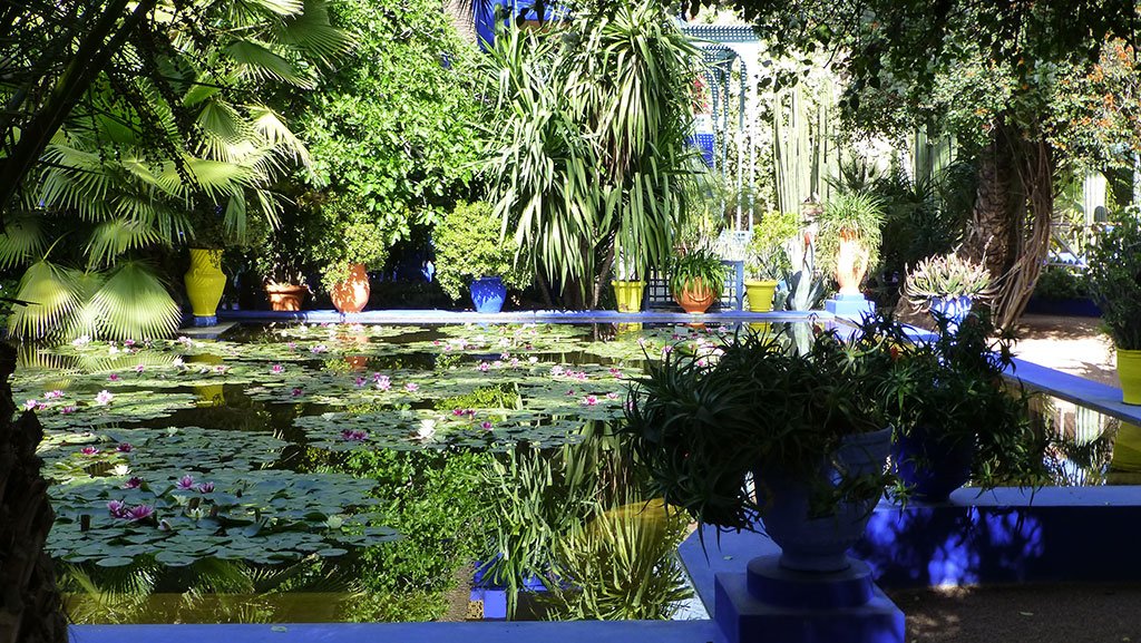 Voyage en couleurs Jardin Majorelle Marrakech Maroc